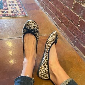Animal print ballet slippers - Franco Sarto